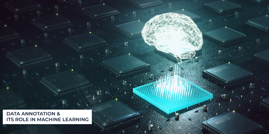 Data Annotation & Its Role in Machine Learning
