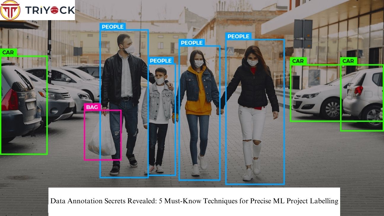 data-annotation-secrets-revealed-5-must-know-techniques-for-precise-ml-project-labelling